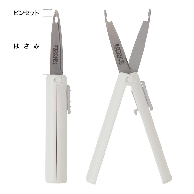 本体