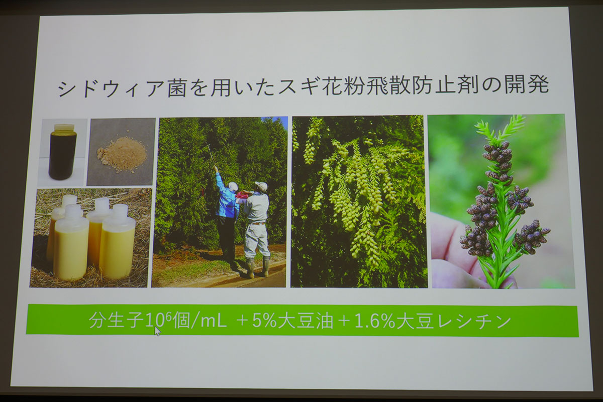「スギ花粉飛散防止剤」の開発が進められている