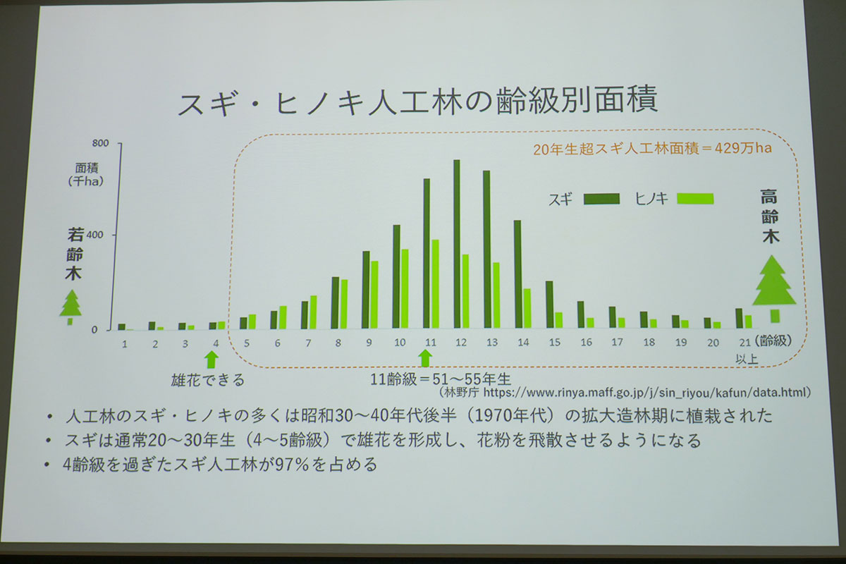 スギは植栽から20～30年(4～5齢級)で花粉を飛散させる。日本のスギ人工林のうち97%が4齢級を過ぎたスギ