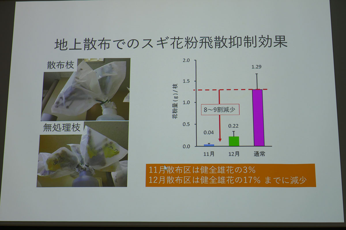 地上散布では花粉量が8～9割減少