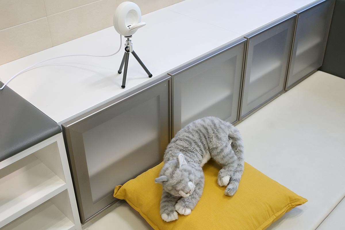 三脚に取り付けた様子。猫が落ち着く場所の近くに、どんな形でも設置できるよう工夫