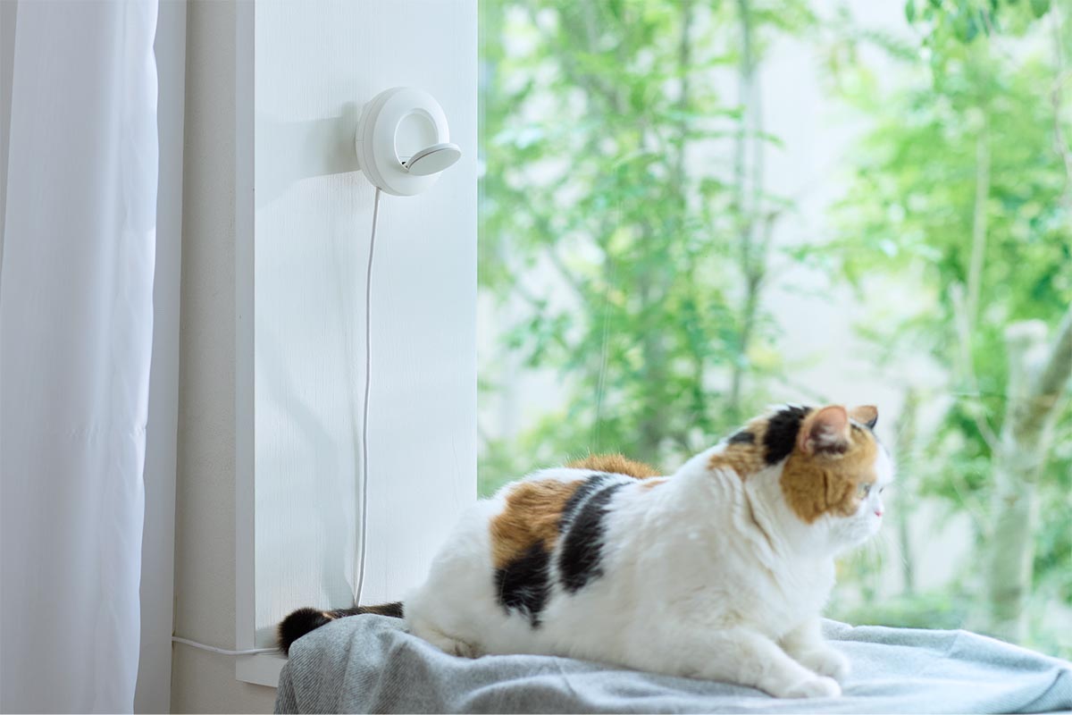 LIXILの猫用健康管理デバイス「neamo(ニアモ)」
