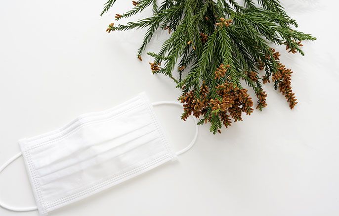 今年春の花粉飛散量が多くなる可能性が示唆されている