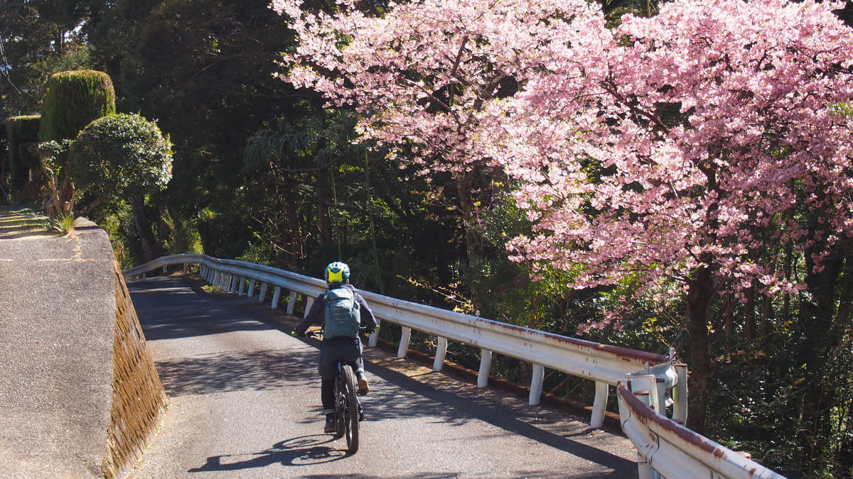 案内看板の下に小さいサイクリングコースのマークが。ここを走らない手はない