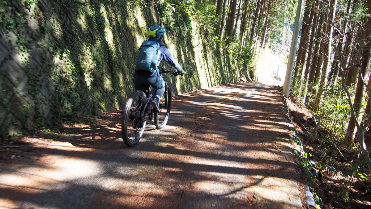 道幅が狭く、路面も良いとは言えないので、クルマの通りがほとんどないのがいい