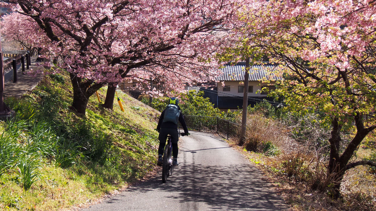 できるだけ幹線道路を通らず、脇道を探して入って行くスタイルがe-bikeライドの醍醐味