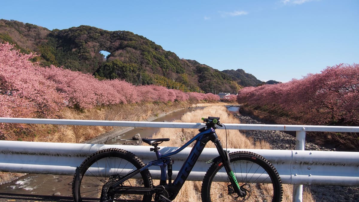 川沿いの桜並木の下をのんびりと走るのは気持ちいい。クルマでは通れないので自転車の特権だ