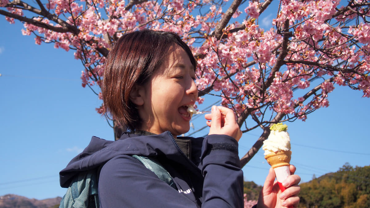 伊豆名物のわさびソフトを愉しむ。たっぷり乗った本わさびとソフトクリームの甘さがたまらない