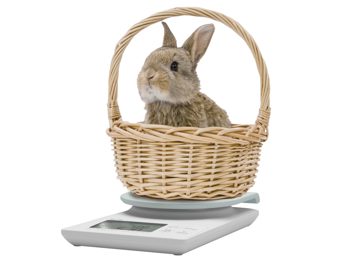 ペットの健康管理にも役立つクッキングスケール