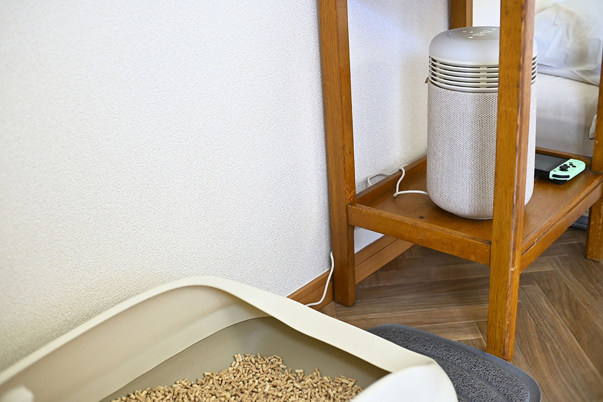 猫トイレの近くに置いてみます