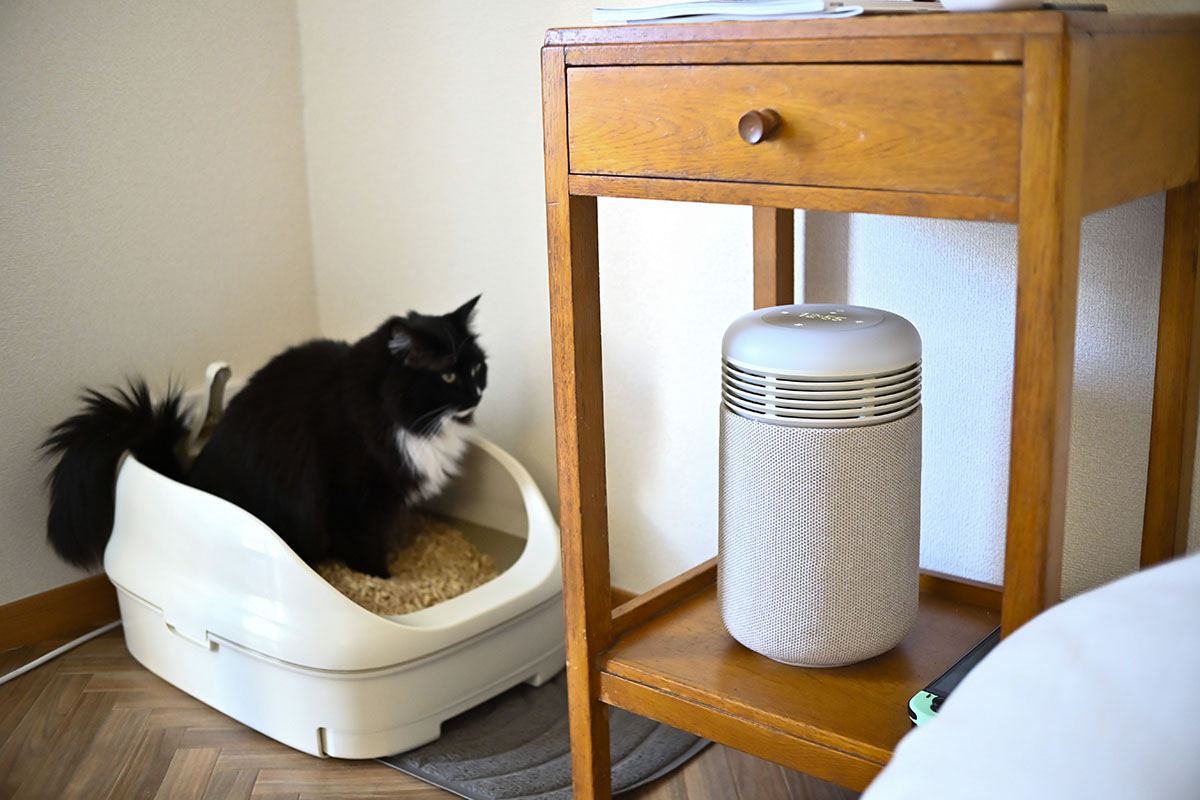 トイレ後のニオイも早めに抑制してくれました