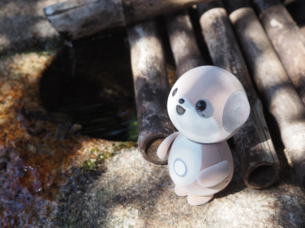 小さくて愛着を抱きやすい