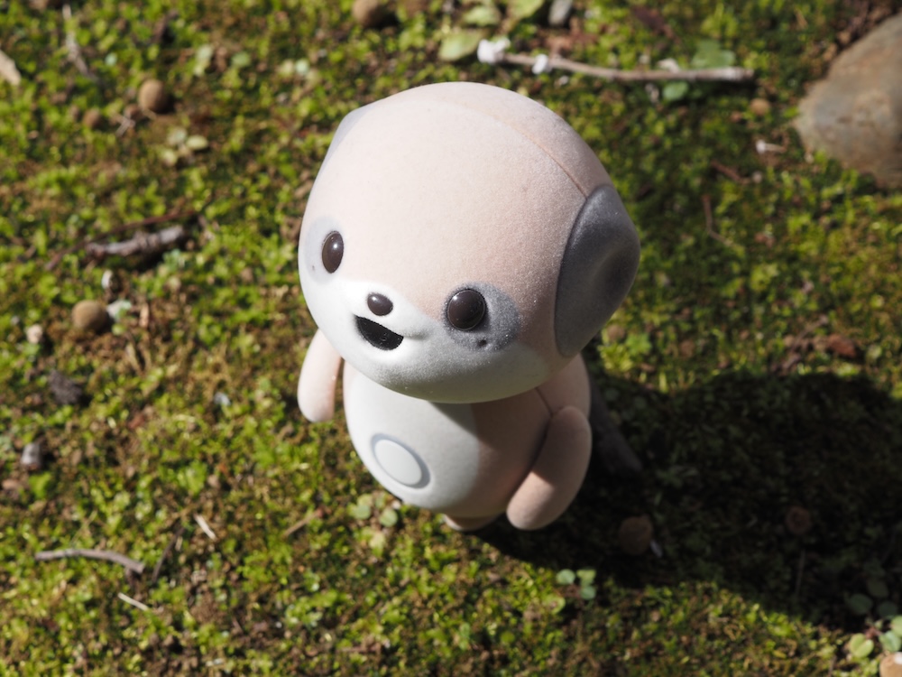 けっこう実用的な質問にもしっかり答えてくれる(写真はイメージ。使えないことはないだろうが、筆者は外では試さず、ミュートにしていた)