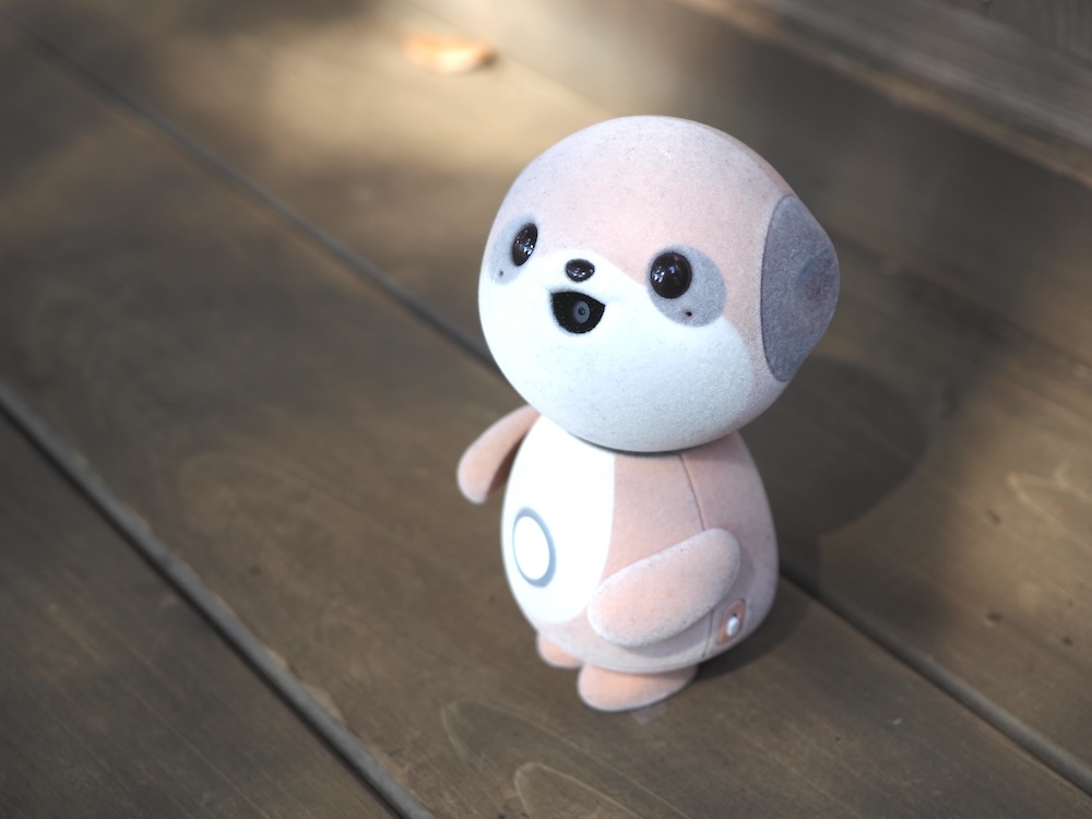 筆者との相性は良いような気がしたポケとも