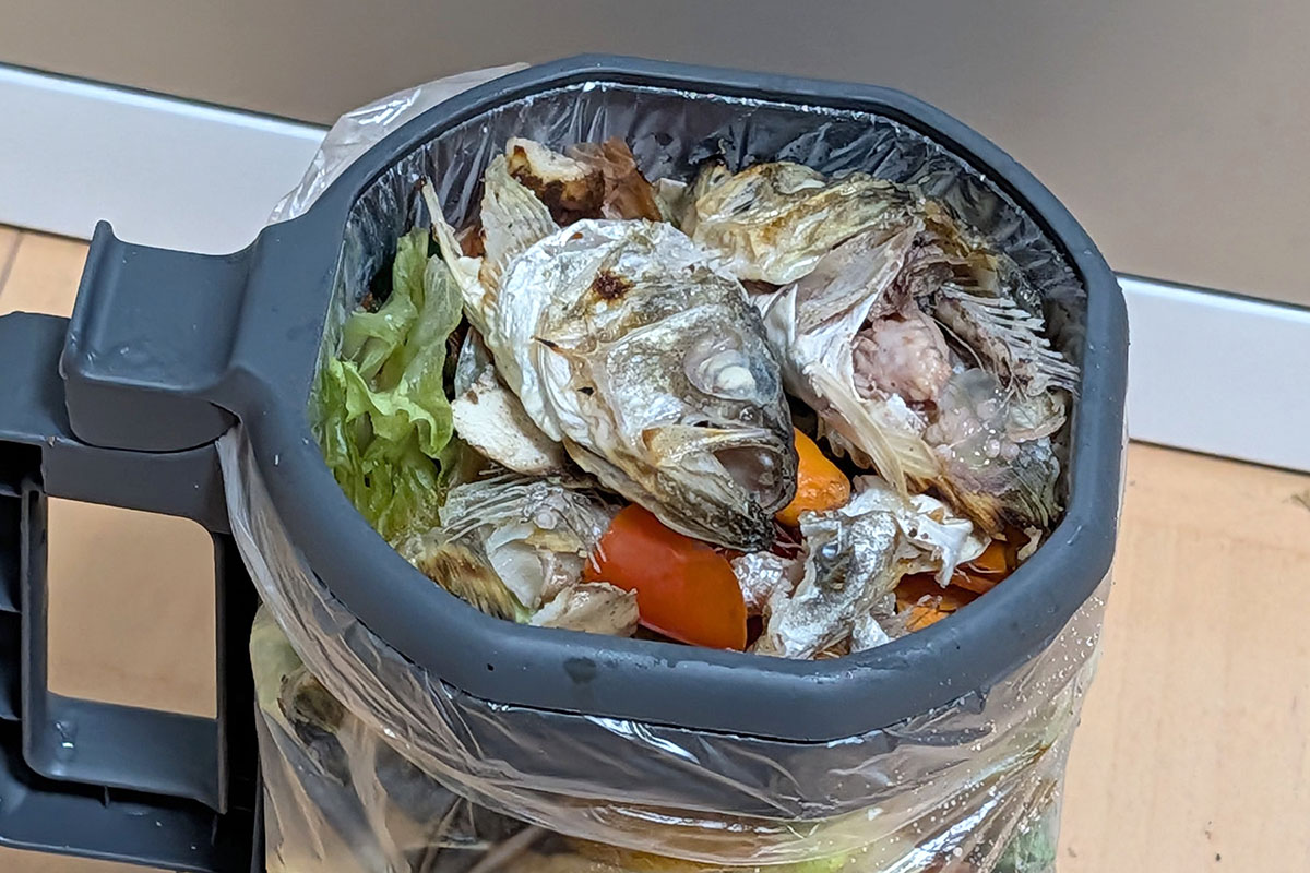 処理前の生ゴミ