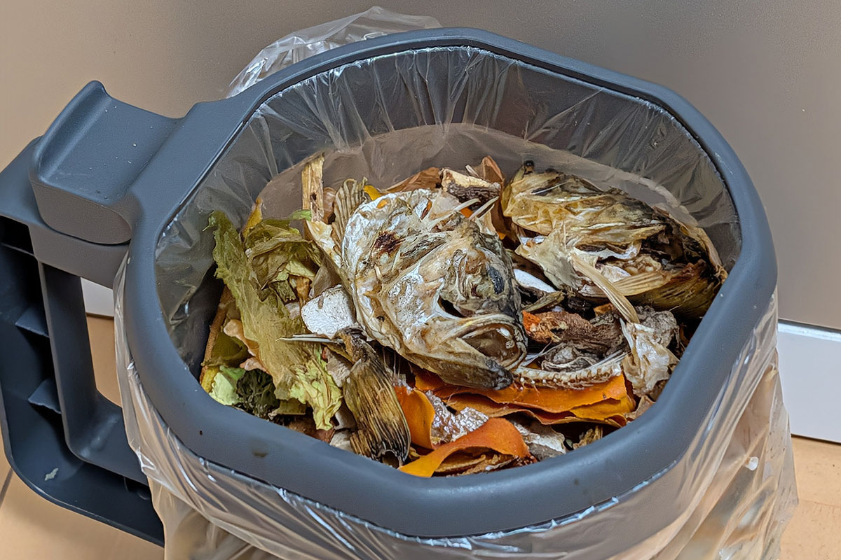 処理後。魚も指でモロモロになるくらいしっかり乾燥。魚の下のレタスや柿の皮もパリパリになっていました