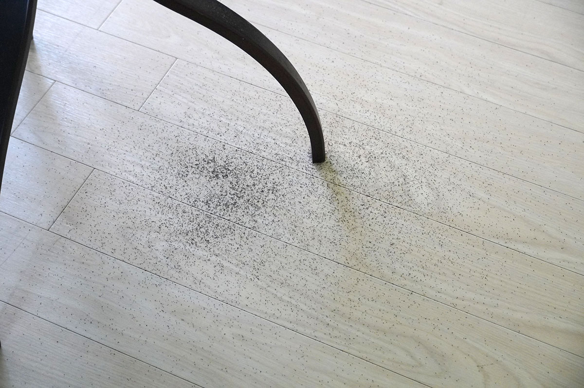 サイドテーブルの脚まわりもテスト