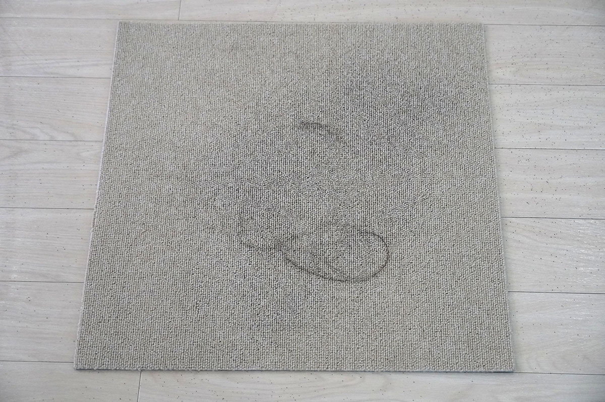 カーペットの砂と髪の毛をセット