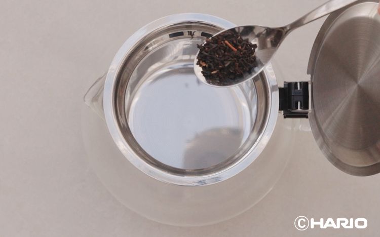 大きなストレーナーを備える