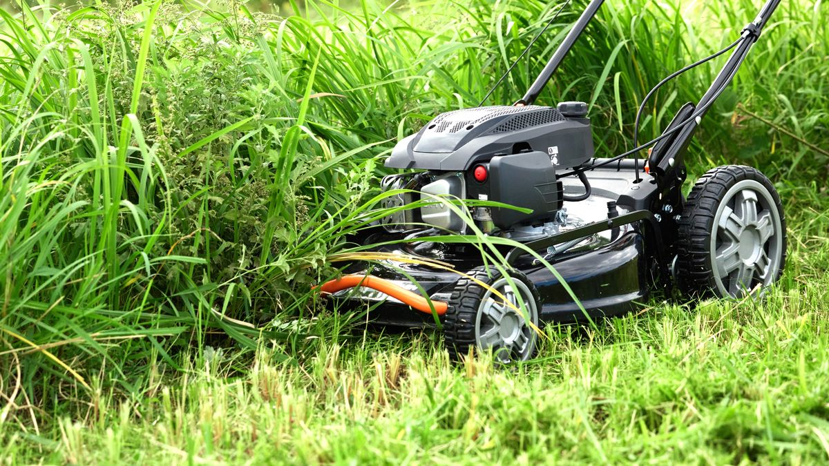 自走式エンジン草芝刈機「EFB-53D」