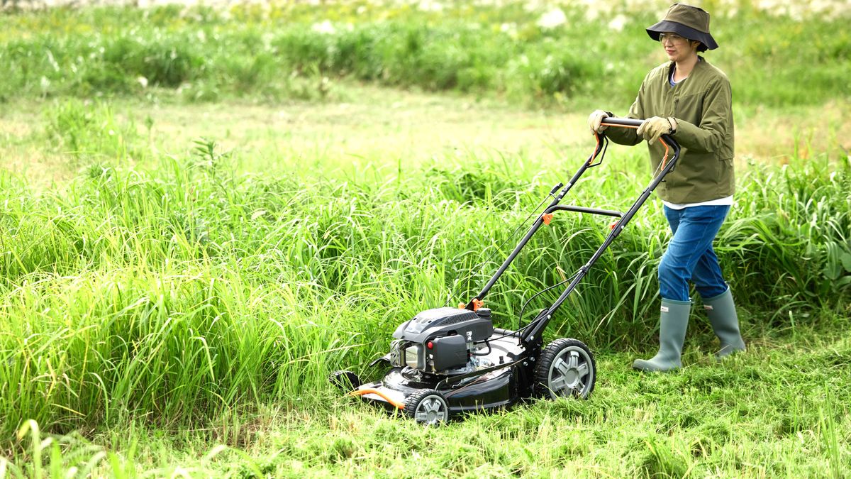 ゆっくり歩くだけで草が刈れる