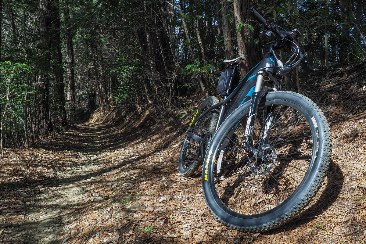 近所にあるダートロード。人力MTBで走ったりしていましたが、急峻な坂がけっこうあり、押し歩きすることも多々。しかし「XM1」だと全行程座ったまま走りきれてしまいました!