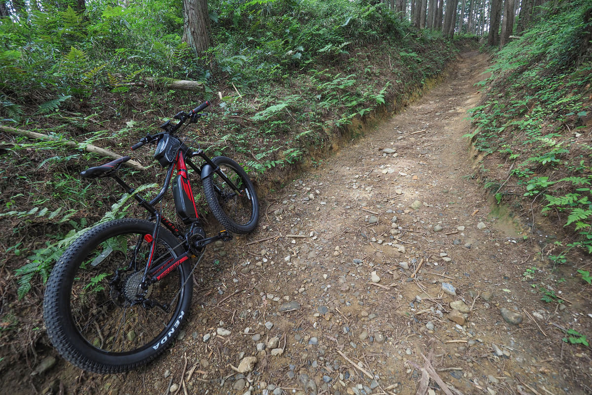 RIDGE-RUNNERを購入してからは、近場のダートロードや峠を片っ端から攻略していきました。この坂なんて人力MTBで一度も上りきれたことがありませんでしたが、e-bikeだとぐいぐいイケちゃいます