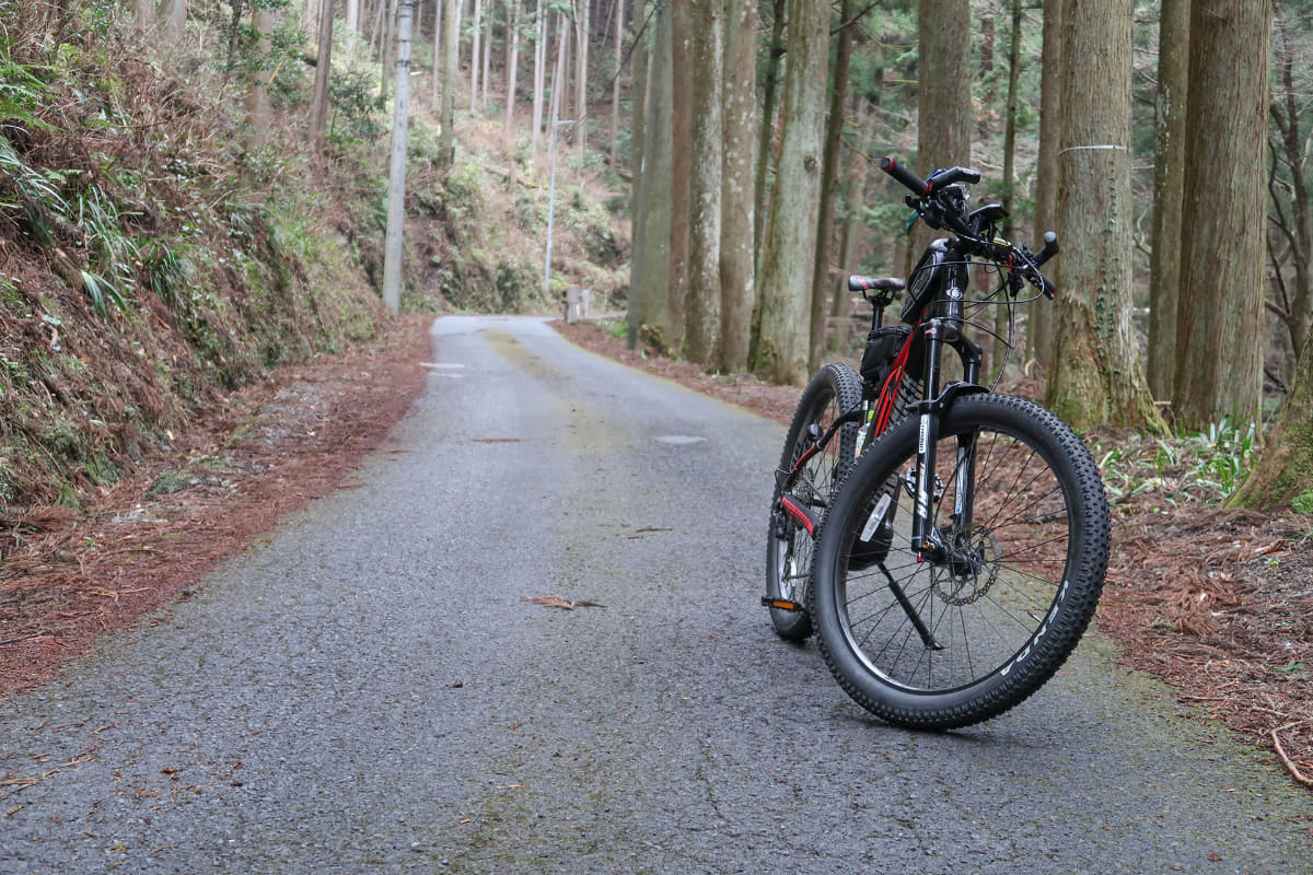 林道もたくさん走りました。e-bikeだと風景を眺めつつ楽しく急坂を上っていけます