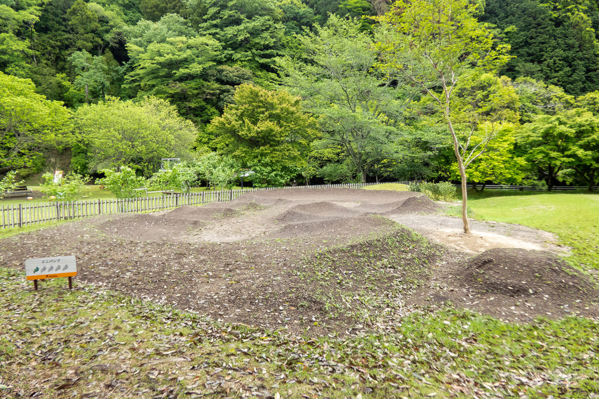 メインは4コースですが、他に子供向けのミニパンプトラックや坂道エリアもあります