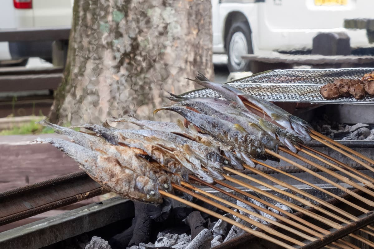 川魚の塩焼きに舌鼓を打つのもよし
