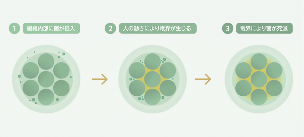 人の動きによって繊維が伸縮することで微弱な電気を発生させ、抗菌効果を発揮する