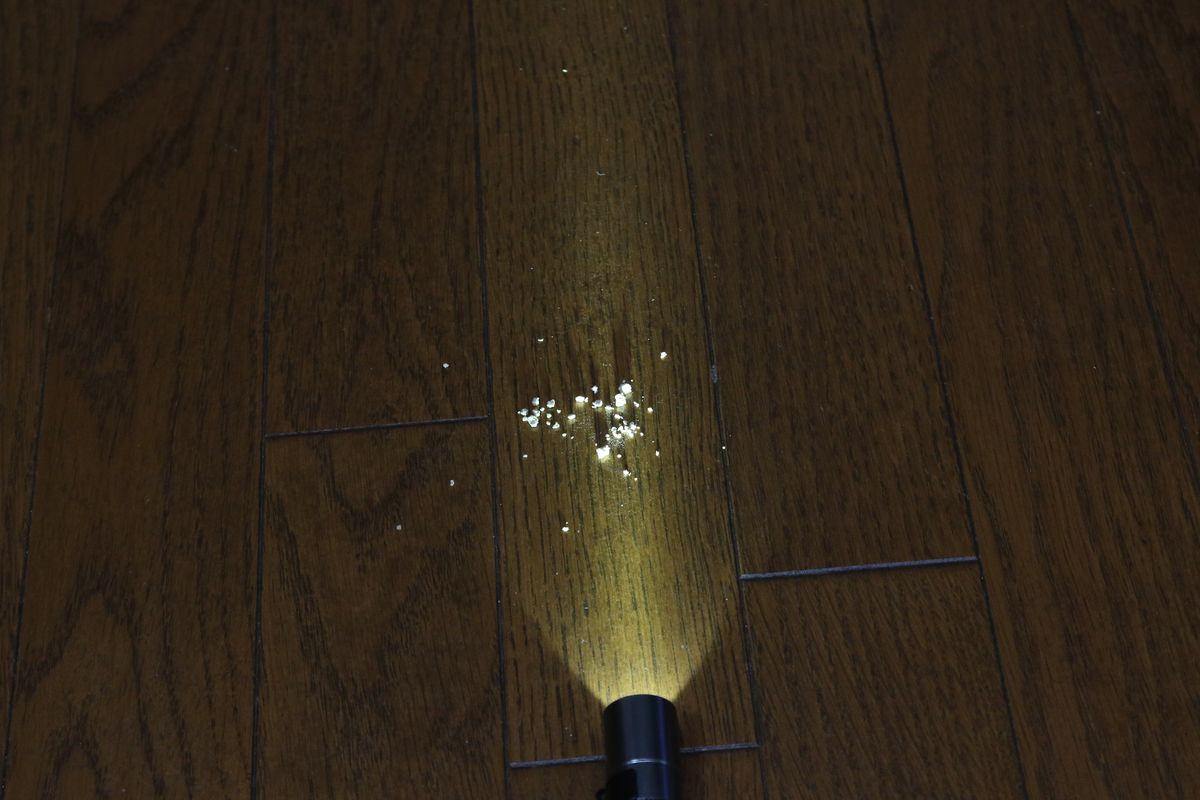 ゴミに横からライトを当てる