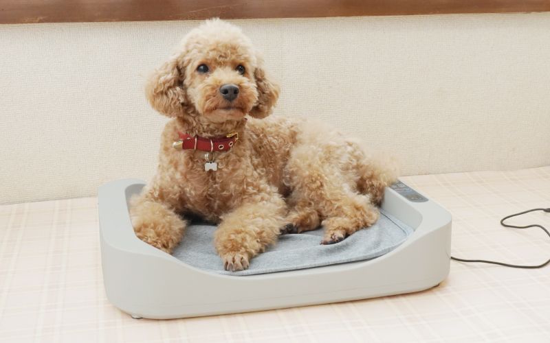 敷きパッドが付属する