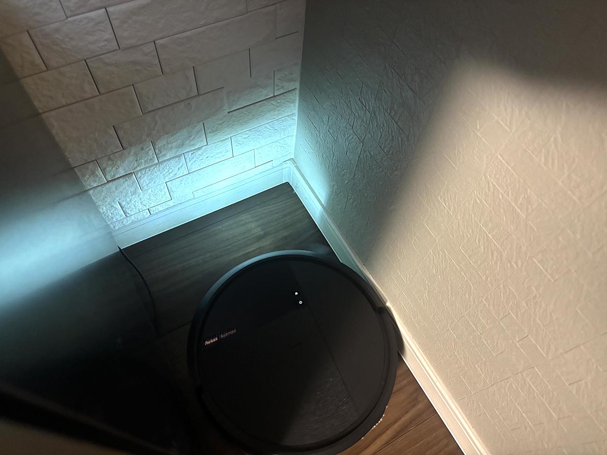 家具と家具のすき間にも、果敢に入り込みました