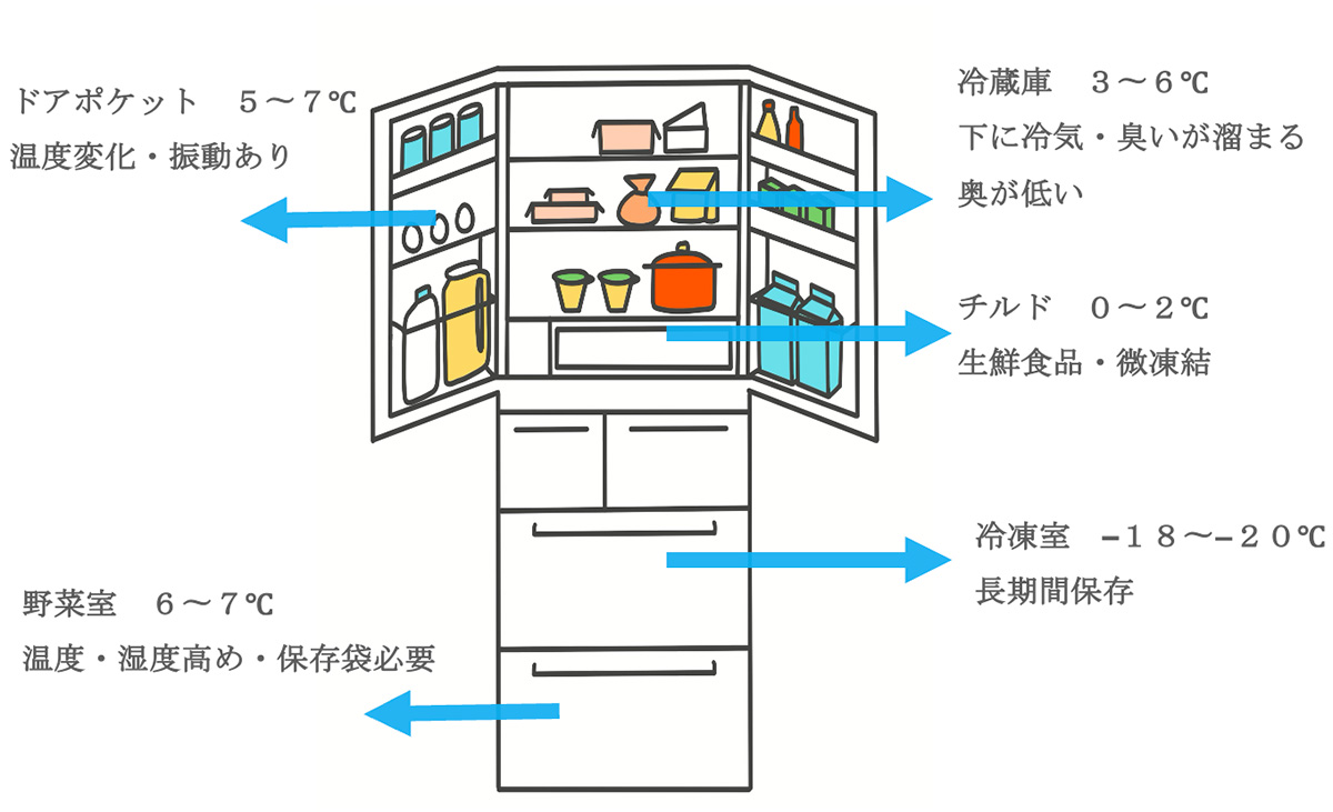 冷蔵庫のエリアごとの特徴を活かして収納しましょう