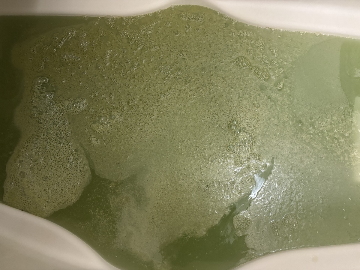 まるで呪われた沼のよう……