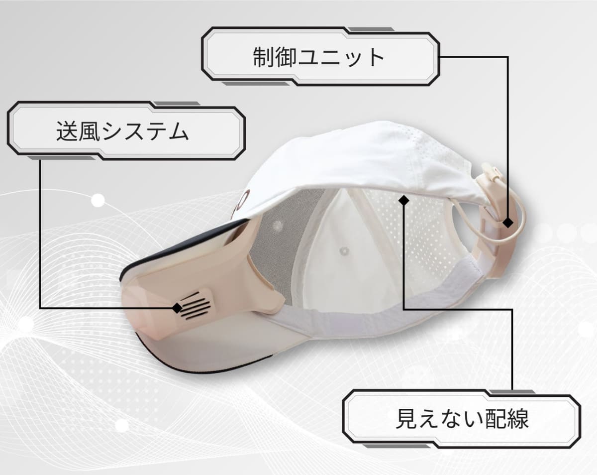 内部の構造