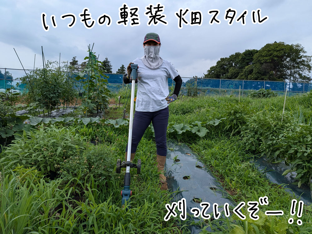バリカンタイプの草刈機なので、いつもの畑作業の格好のまま挑む