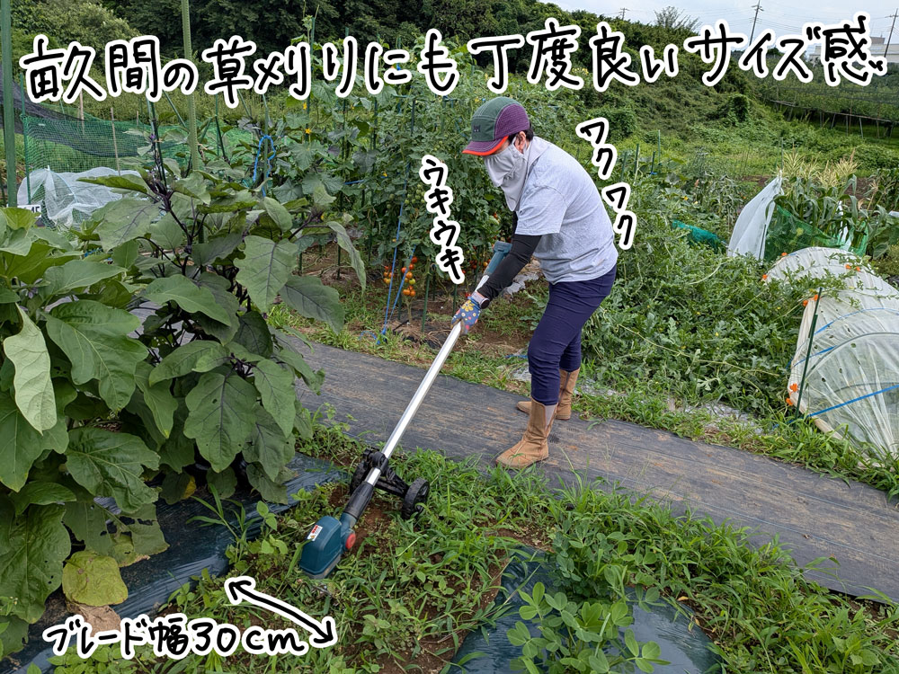 草刈機楽しい! サクサク刈れて快感!