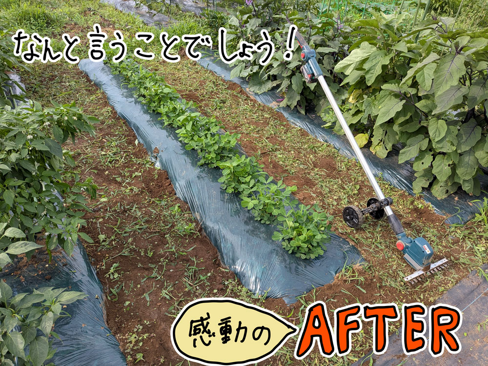 あっという間に綺麗な畝間(うねま)になった!