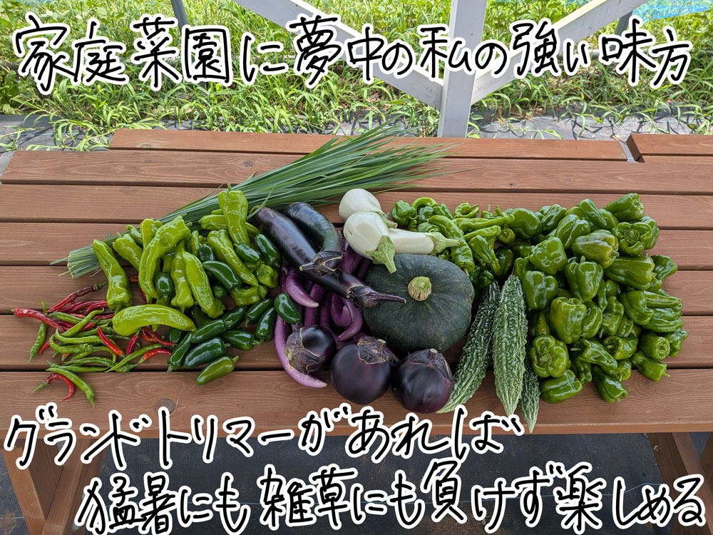 あまりに快適すぎる!