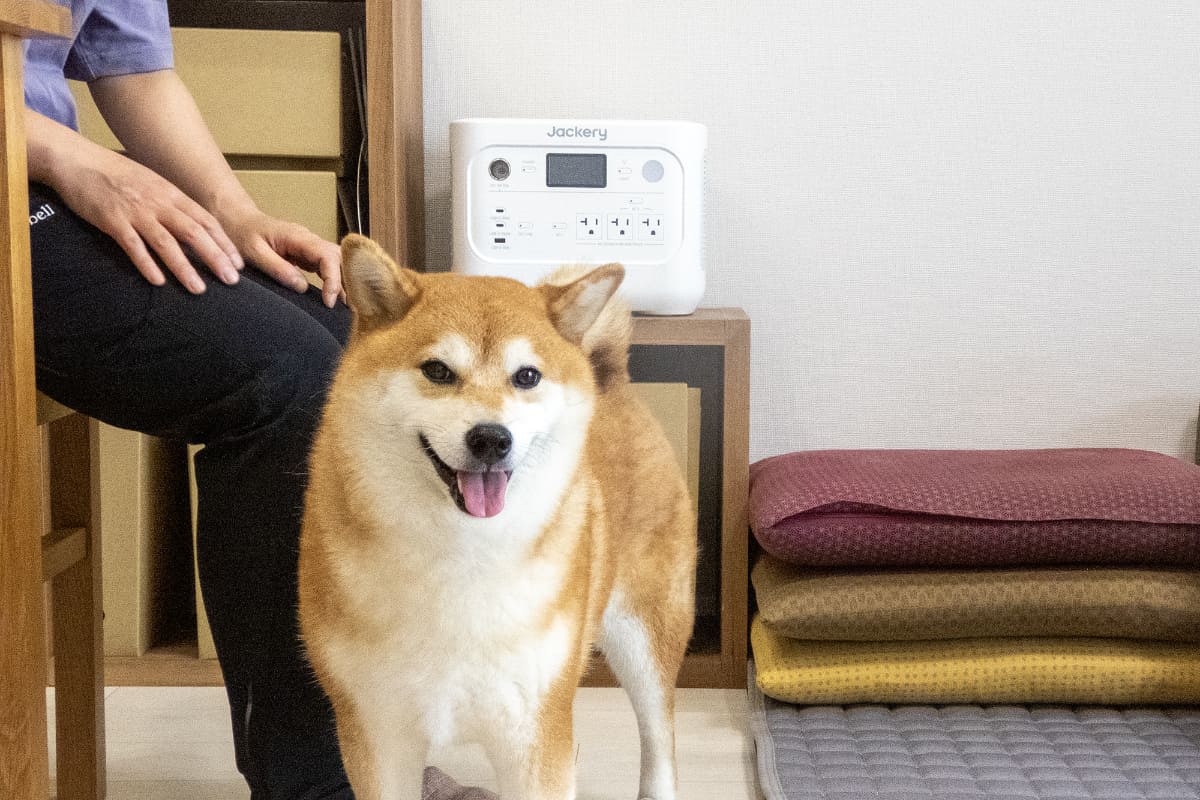柴犬のポンズちゃんと暮らす愛犬家でもある宮崎さん。アウトドアを趣味としているだけにポータブル電源の活用シーンは多そうですが、日常生活ではどれくらい役に立つのか!?