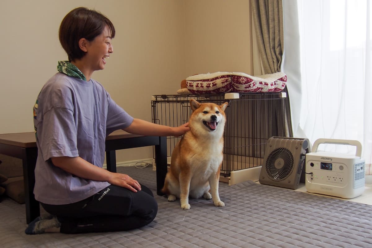 サーキュレーターが回っているだけで、少しは暑さが緩和できます。ポンズちゃんも気持ちよさそう