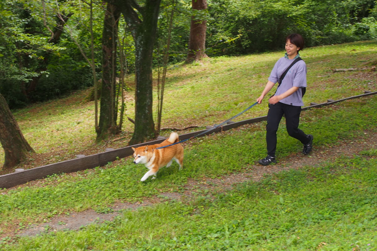 この日は初めての公園へのお出かけで、ポンズちゃんのテンションも上がった様子