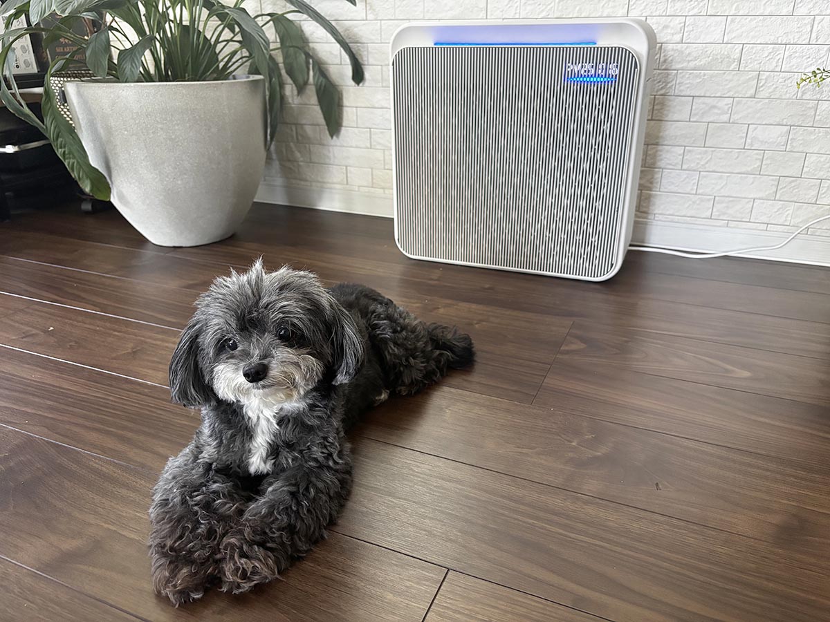 犬を飼い始めてから、空気清浄機の意義を改めて実感しています