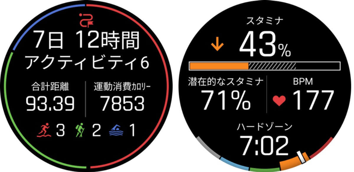 左からGarmin Epic、スタミナゾーン