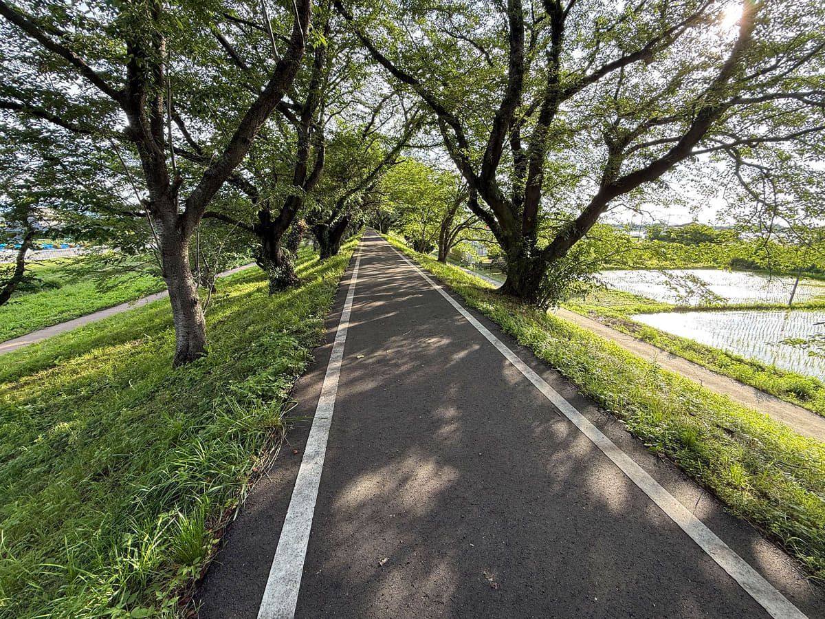 埼玉県比企郡吉見町にある「さくら堤公園」。ほぼ昔のまま?