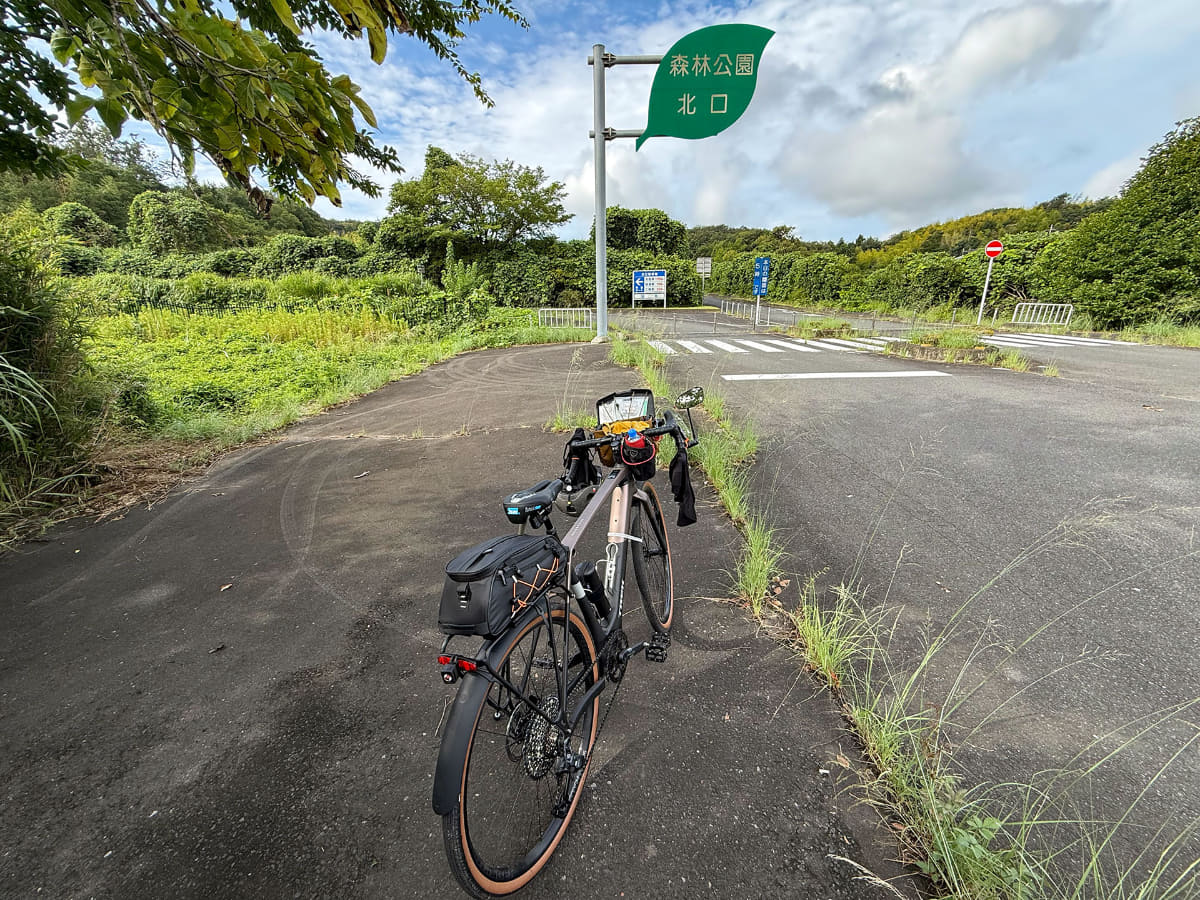 未明から走ってまた100kmライド。ルートを変えたりして走り、Checkpoint+ SL 5での一度のサイクリングの最長距離は現在約120kmです。それでも体力に余裕があるので、涼しい季節にはさらに距離を延ばせそうです