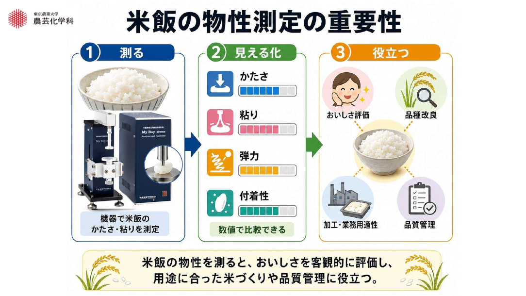 米飯の物性特性の重要性