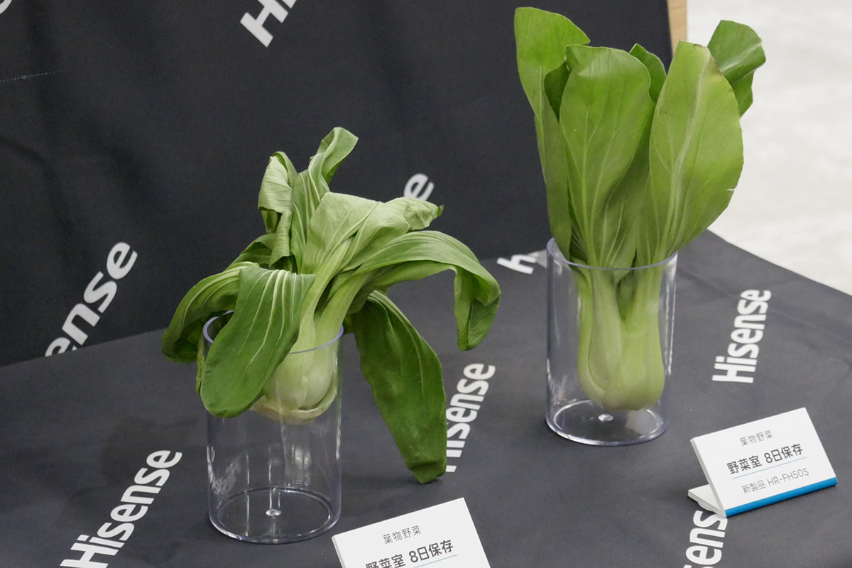 写真右が新製品で8日間保存したチンゲン菜